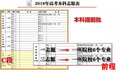 学习形式怎么填、学习形式全方位解析：如何填写中心