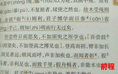 劝学荀子全文免费阅读小说(劝学荀子全文免费阅读：智慧启迪，学海无涯)