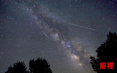 月夜花朝―月夜花朝：寂静夜空，花开盛放的时刻